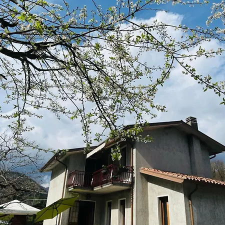 Holiday home La Caliera 5 Corbanese
